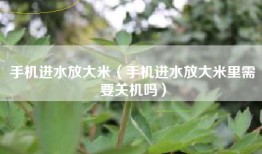 手机进水放大米（手机进水放大米里需要关机吗）