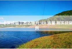 【实战篇】怎么提升 SEO 流量 附实战案例