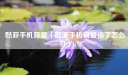 酷派手机音量（酷派手机音量锁了怎么办）