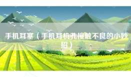 手机耳塞（手机耳机孔接触不良的小妙招）