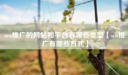 seo推广的网站和平台有哪些类型【seo推广有哪些方式】