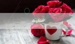 shopbase