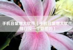 手机音量增大软件（手机音量增大软件排行没一个管用的）
