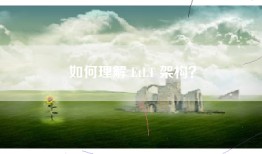 如何理解 EtLT 架构？