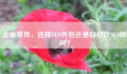 企业宣传，选择SEO外包还是自己找SEO顾问？