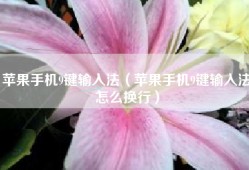 苹果手机9键输入法（苹果手机9键输入法怎么换行）