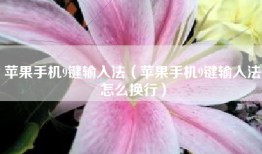苹果手机9键输入法（苹果手机9键输入法怎么换行）