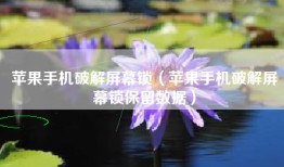 苹果手机破解屏幕锁（苹果手机破解屏幕锁保留数据）