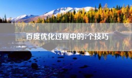 百度优化过程中的7个技巧