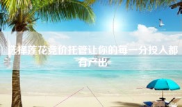 选择莲花竞价托管让你的每一分投入都有产出