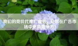 我们的竞价代推广服务，让您在广告市场中更具竞争力！