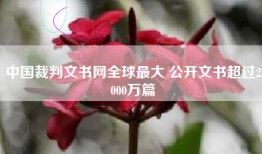 中国裁判文书网全球最大 公开文书超过2000万篇
