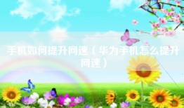 手机如何提升网速（华为手机怎么提升网速）