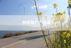 网络推广广告语