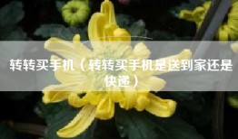 转转买手机（转转买手机是送到家还是快递）