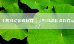 手机自动翻译软件（手机自动翻译软件app）