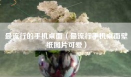 最流行的手机桌面（最流行手机桌面壁纸图片可爱）