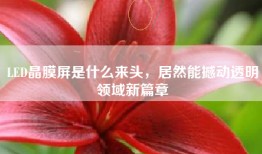 LED晶膜屏是什么来头，居然能撼动透明领域新篇章