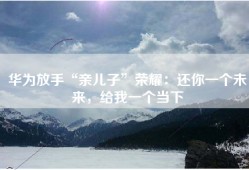 华为放手“亲儿子”荣耀：还你一个未来，给我一个当下