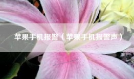 苹果手机报警（苹果手机报警声）