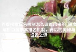 百度搜索排名机制怎么设置出来的_深度解析百度搜索排名机制，背后的奥秘与设置之道