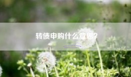 转债申购什么意思？