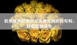杭州隆硕取得双光束激光测距仪专利，降低检测成本