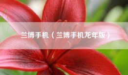 兰博手机（兰博手机龙年版）