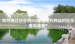 如何通过巴中的SEO策略提升网站的可见度和流量？