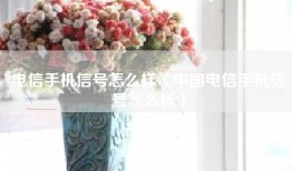 电信手机信号怎么样（中国电信手机信号怎么样）