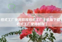 格式工厂使用教程格式工厂手机版下载「格式工厂使用教程」