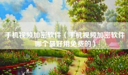 手机视频加密软件（手机视频加密软件哪个最好用免费的）