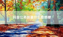 抖音公务员是什么意思梗