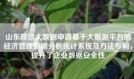 山东政信大数据申请基于大数据平台的经济管理数据分析统计系统及方法专利，提升了企业数据安全性