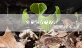 外贸独立站设计