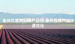 泰州百度网站推广公司-泰州百度网站快速优化
