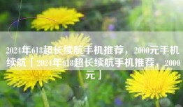 2024年618超长续航手机推荐，2000元手机续航「2024年618超长续航手机推荐，2000元」