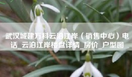 武汉城建万科云泊江岸（销售中心）电话_云泊江岸楼盘详情_房价_户型图