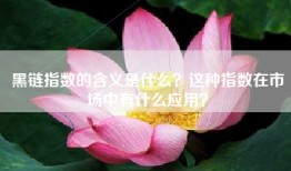 黑链指数的含义是什么？这种指数在市场中有什么应用？