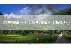 苹果粘贴不了（苹果粘贴不了怎么办）