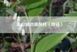 金山湖边清风村（组诗）