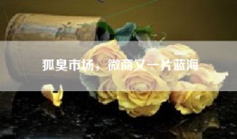 狐臭市场，微商又一片蓝海