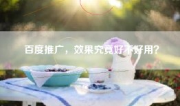百度推广，效果究竟好不好用？