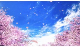 幼儿园小雪节气活动方案