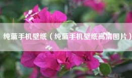 纯蓝手机壁纸（纯蓝手机壁纸高清图片）