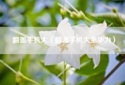 翻盖手机大（翻盖手机大全华为）