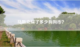 马斯克买了多少狗狗币？