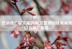 营销推广软文案例(软文营销的经典案例以及推广策略)