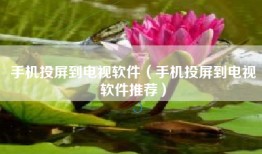 手机投屏到电视软件（手机投屏到电视软件推荐）