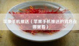 苹果手机推送（苹果手机推送的消息在哪里看）